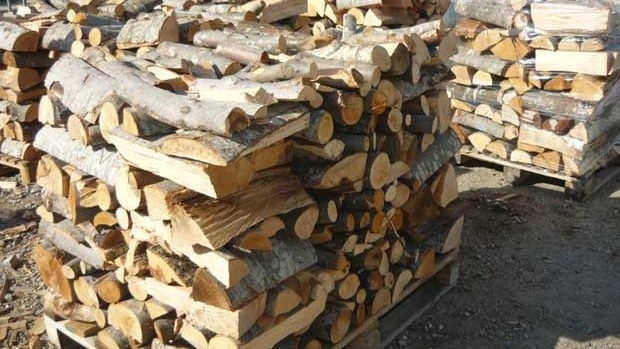 Двама мъже от Криводол са откраднали дървата на други двама