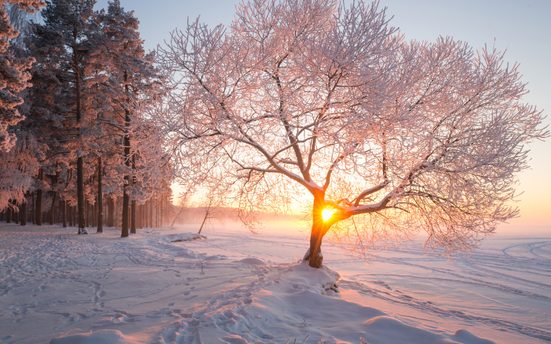 След обяд облачността над страната ще е променлива а над