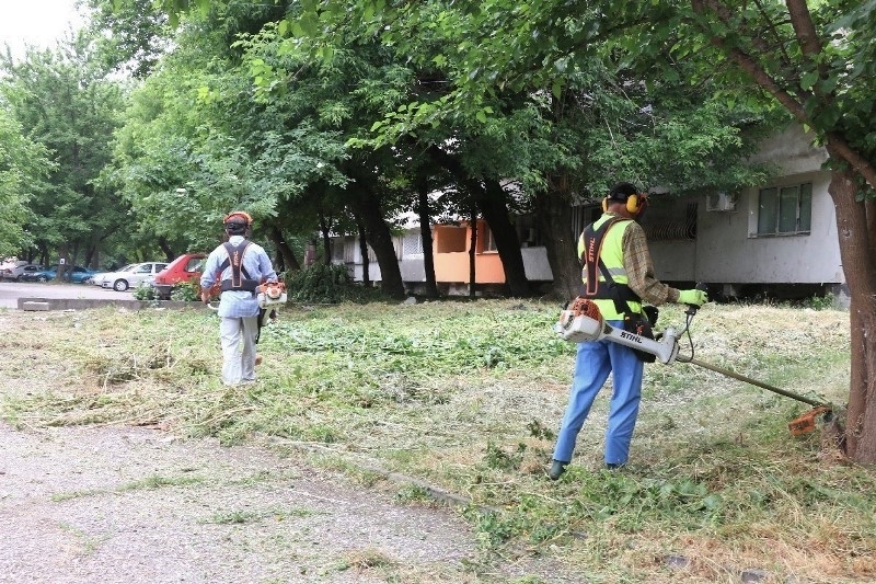 Работници от групата по озеленяване към Община Видин окосяват днес