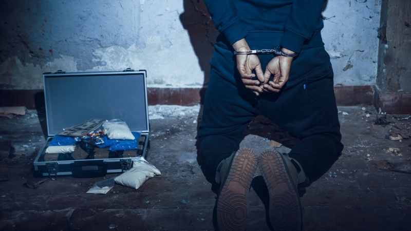 Разкриха организирана престъпна група за държане укриване и международен трафик