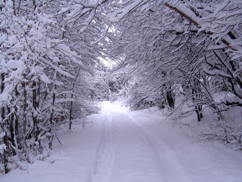 Днес след обяд в много райони на страната временно и
