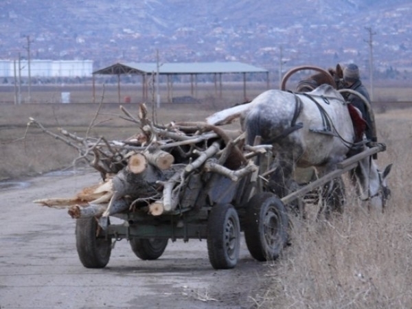 Полицаи спряха каруца пълна с незаконни дърва в Монтанско съобщиха
