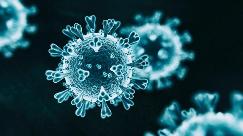 Мексико съобщи за 6740 новозаразени с коронавируса с което общият