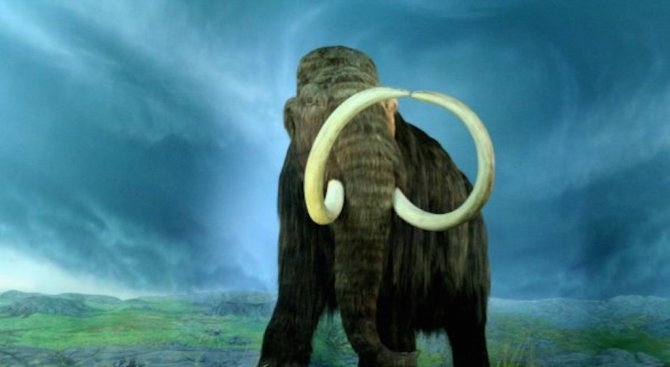 Непокътнат скелет на мамут живял преди 10 хиляди години бе