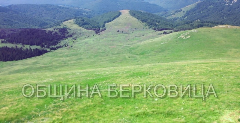 Организират празник на Балкана в Берковица