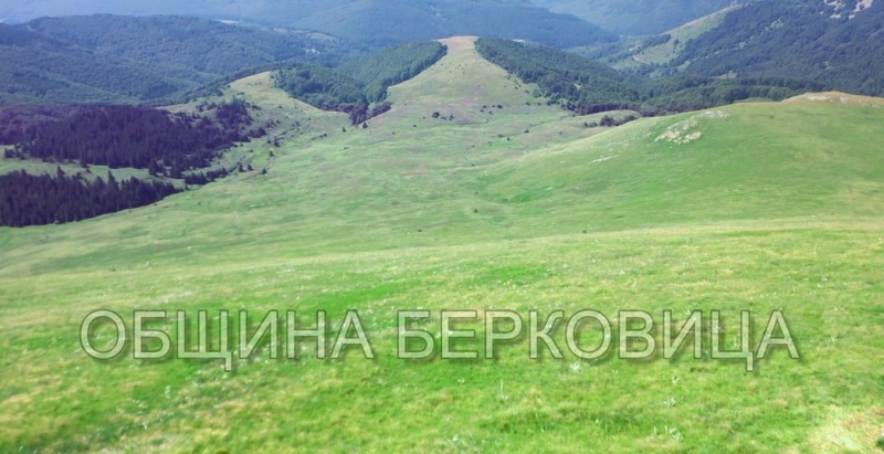 Стягат празник на Балкана в Берковица съобщиха от управата в