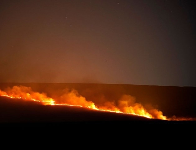 Голям пожар избухна през нощта в боровата гора близо до