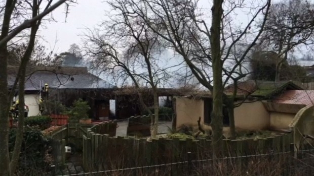 Над 70 пожарникари се борят с огнена стихия в зоопарк