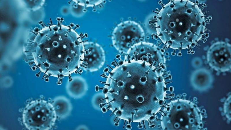 Първите за сезона грипни вируси A H1N1 pdm09 вече са доказани съобщават