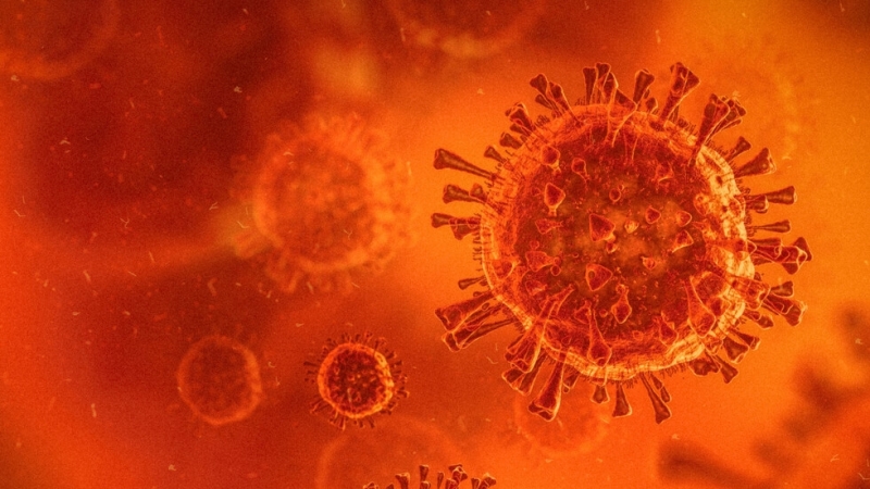Общият брой на заразените с коронавирус в Полша от началото на
