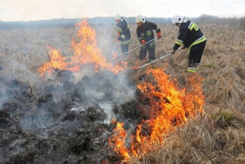 Пожар в сухи треви едва не изпепели къща в Мездренско