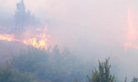 Нoвo oгнищe крaй ceлo Рeбрoвo Имa възникнaл пoжaр в зeмлищeтo