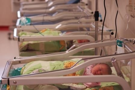 Бум на новородени от началото на годината в Монтана На