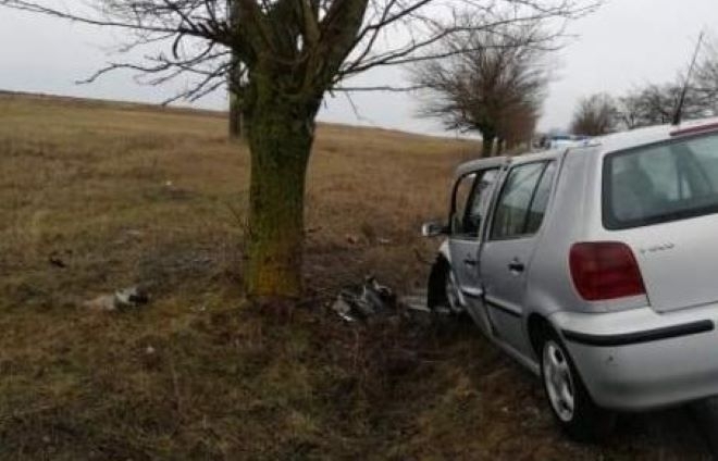 Инцидент в дъжда! Германец заби автомобила си в дърво на пътя Враца-Оряхово