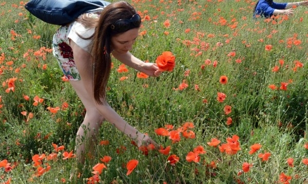 Преди обяд над по голямата част от страната ще бъде предимно