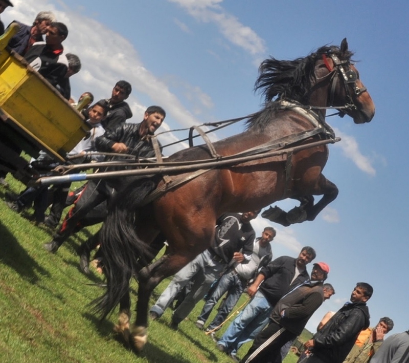 Монтанското село Мърчево ще бъде домакин на традиционния събор на