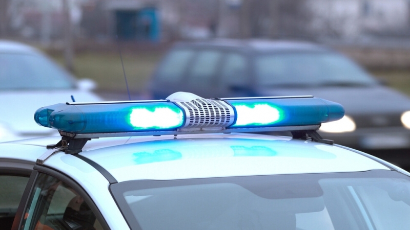 Полицаи от Монтана издирват крадци задигнали торове от склад съобщиха