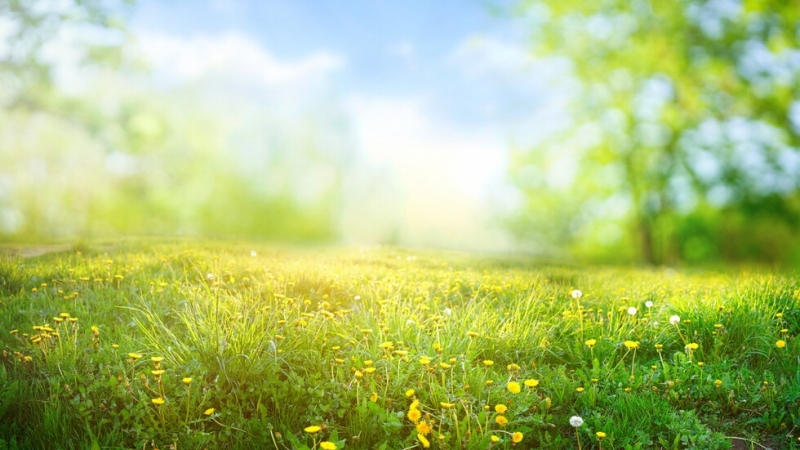 Почивните дни ще ни предложат цветен метеорологичен коктейл много