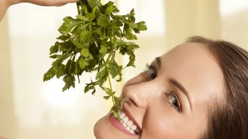 Магданозът е една от най разпространените подправки у нас Преди да