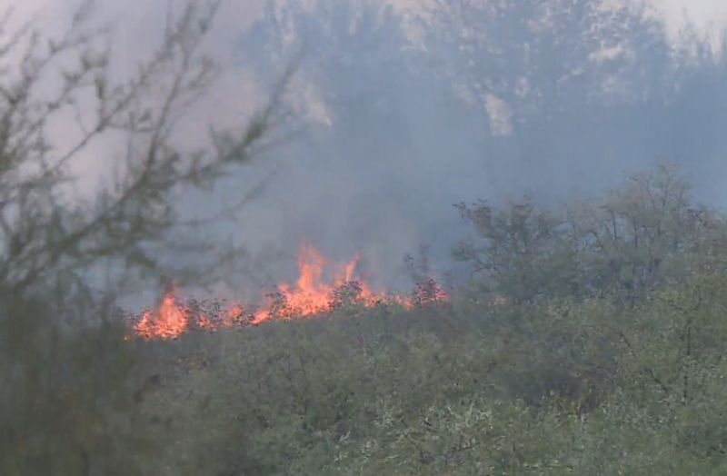 Голям пожар в периметъра на полигон Ново село Огънят е възникнал по