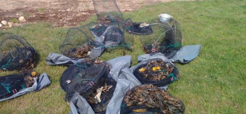 При нощна проверка във водите на язовир Батак инспектори от