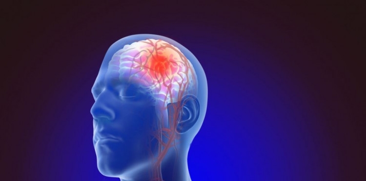 Ринат Богданов невролог доктор на медицинските науки професор в Катедра