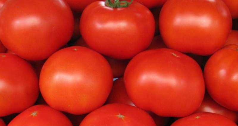Македонският външен министър Никола Димитров предложи вкусни домати на всеки