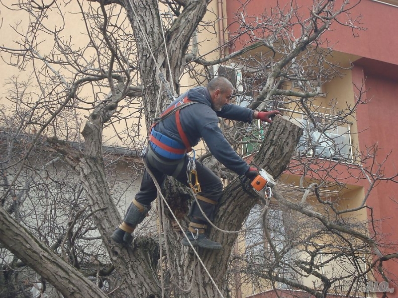 В резултат на многобройни жалби от граждани и учреждения за