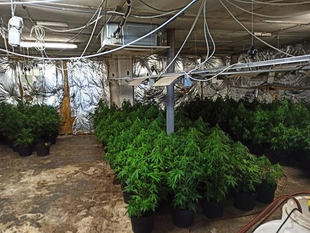 Откриха три високотехнологични оранжерии за култивиране на канабис в бивша