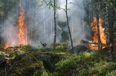 При пожар в селскостопански постройки в пловдивското село Скутаре са