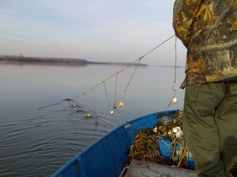 Изпълнителната агенция по рибарство и аквакултури ИАРА в Монтана засили