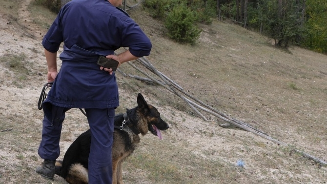 Вчера България ликува след откриването на изчезналия 12 годишен Александър от