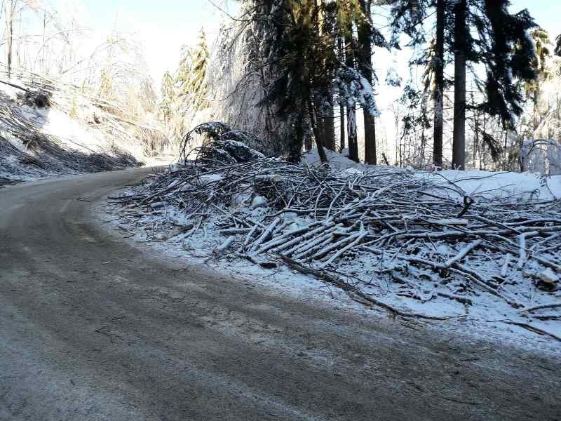 Продължава разчистването на падналите и пречупени дървета и клони на