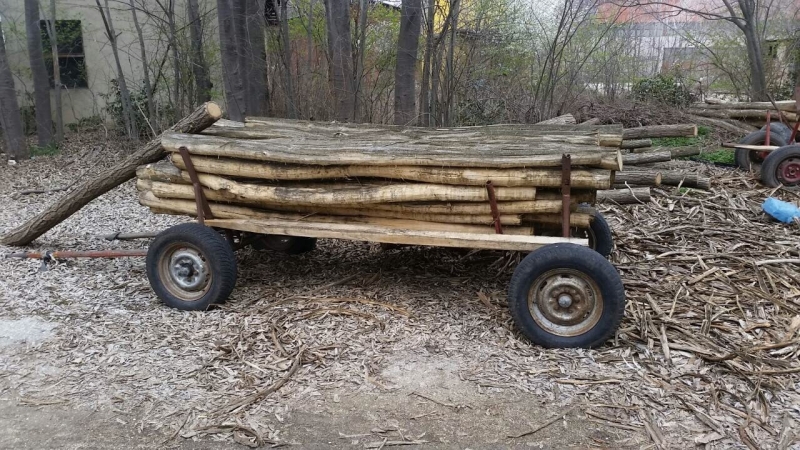 Служители на полицията в Берковица са заловили бракониер транспортирал незаконно