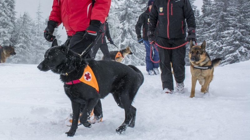 Акцията за издирване на 70 годишен мъж от Неделино приключи успешно