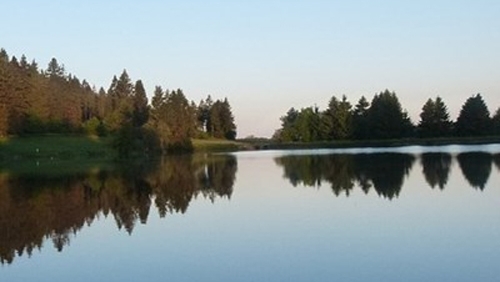 Сигнал за човек изчезнал във водоем до софийското село Негован