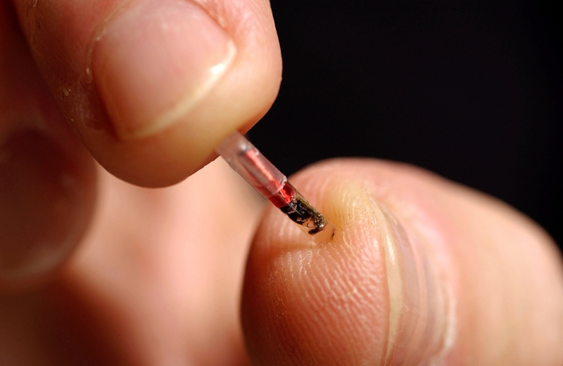 Хиляди шведи си имплантират микрочипове с които заменят своите документи