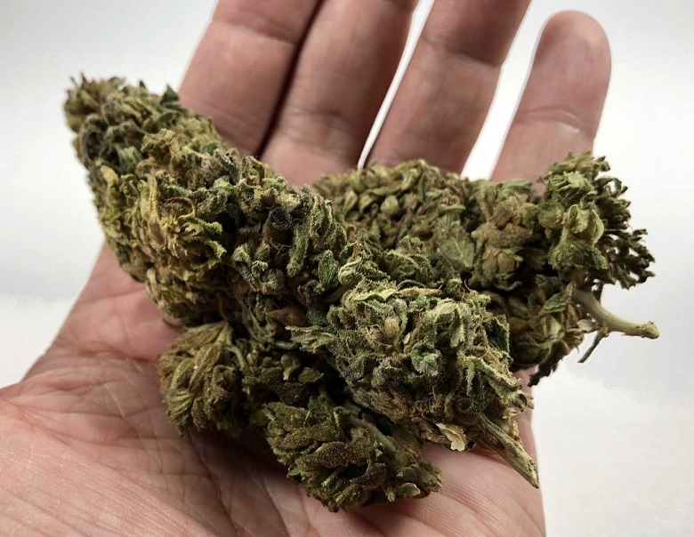 Наркотични вещества иззеха служители на полицейските управления в Полски Тръмбеш