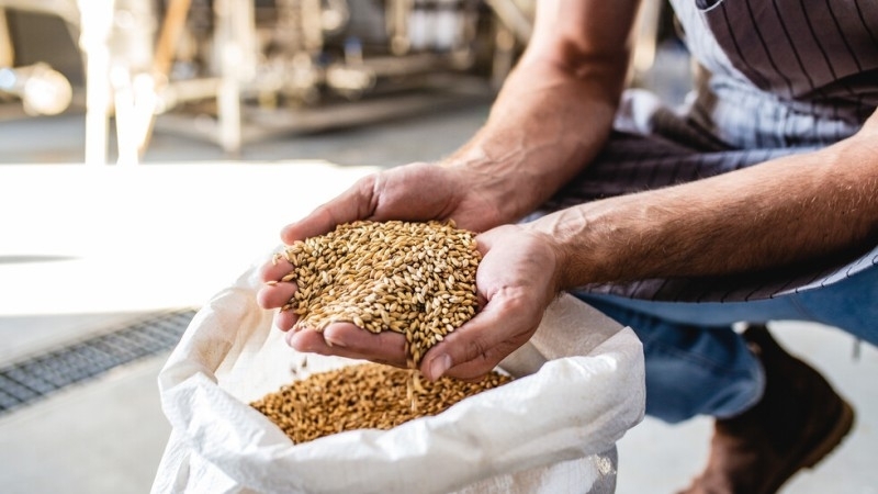 Няма опасност от зърнена криза в България Това заяви министърът на