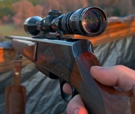 Куче е било застреляно във вилата на мъж от Монтана