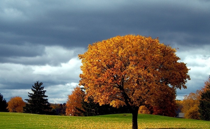 През следващото денонощие облачността ще е по често значителна но само