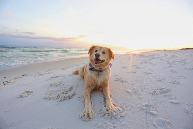 През нощта ще бъде ясно и в повечето райони тихо