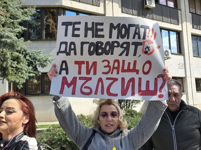 Видинчани протестираха срещу насилието над животни и поискаха ефективни присъди