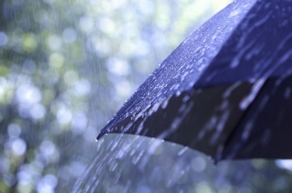 За последните 24 часа най много дъжд в Северозападна България е валял