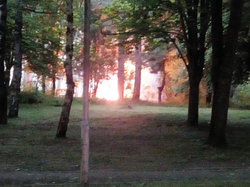 Пожар е избухнал преди минути в Ботев парк в Козлодуй