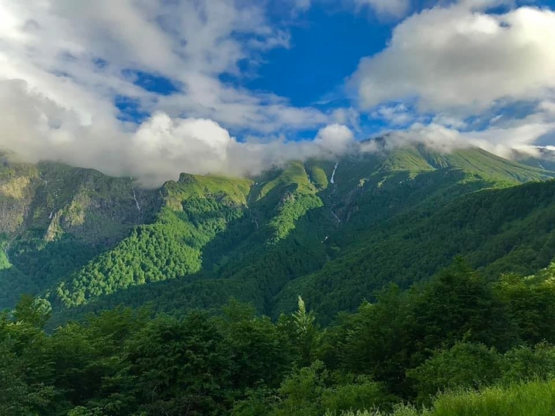 Жена оцеля след 72 часа без храна и вода в