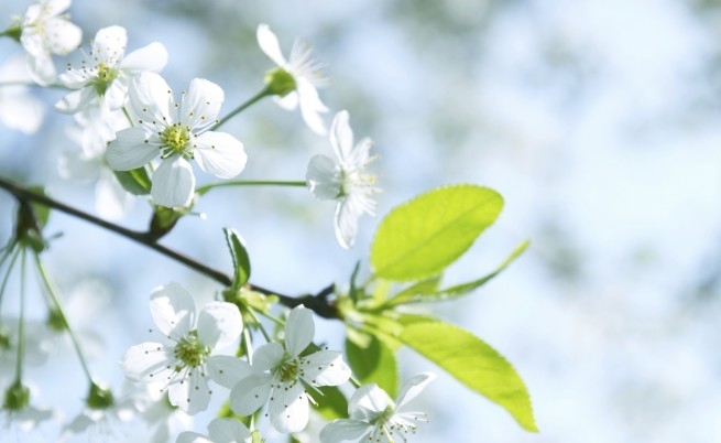 Вижте с какво време започва работната седмица