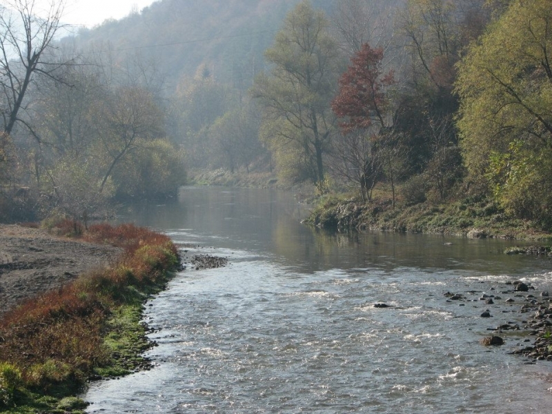 Съвестен рибар сигнализирал в Регионалната инспекция по околната среда и