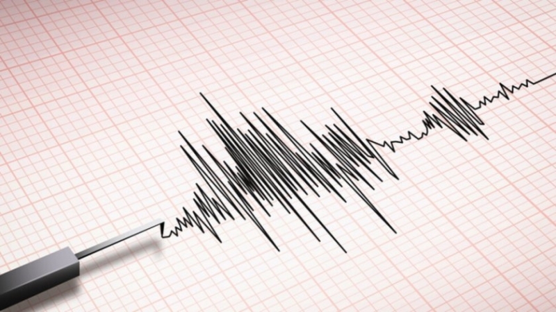 Земетресение с магнитуд 6.1 бе регистрирано край бреговете на Фиджи,