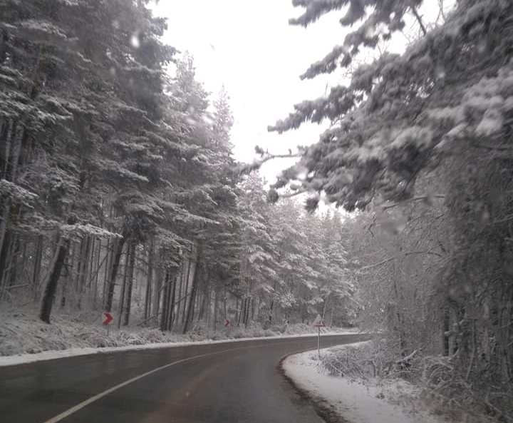 Натоварен е трафикът на прохода Петрохан където вече сняг вали